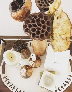 10499316_1073496062691150_156168873_n