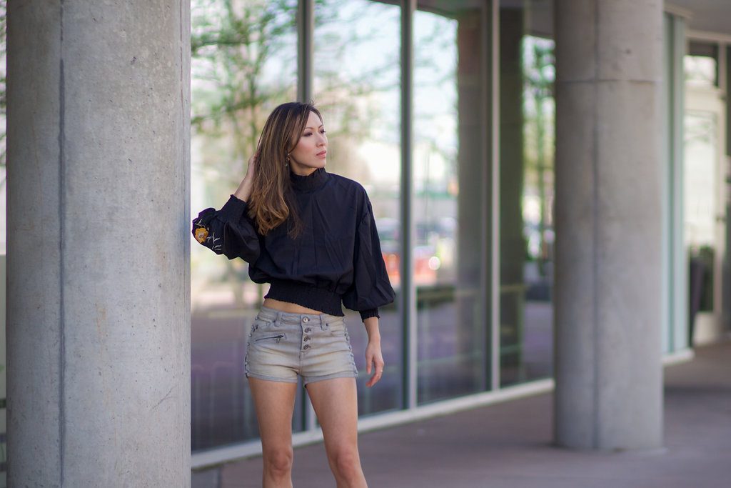 Shein floral embroidery lantern sleeve top